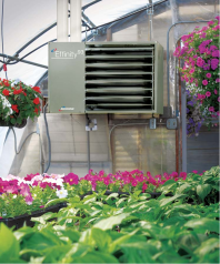 Modine Effinity Heater in Greenhouse
